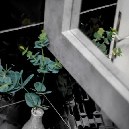 דירה Clicktheflat Wilcza Street *