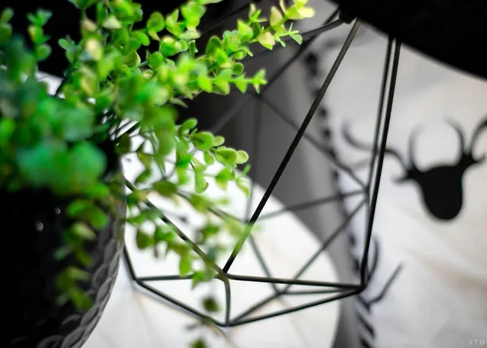 Clicktheflat Wilcza Street شقة وارسو